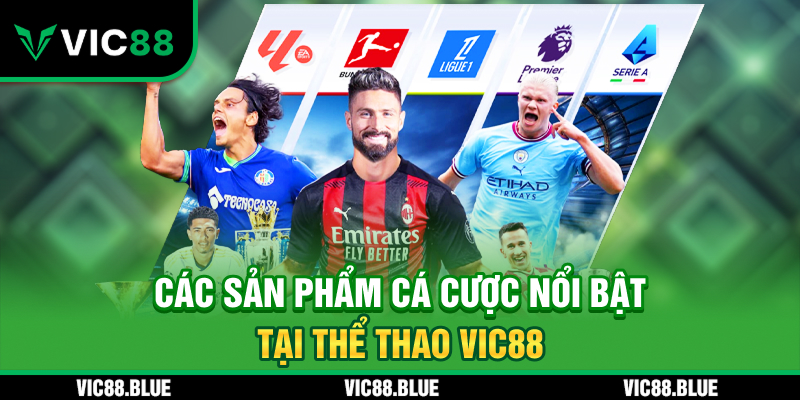 Các sản phẩm cá cược nổi bật tại thể thao VIC88