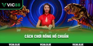 Bí kíp chơi Rồng Hổ chuẩn từ cao thủ