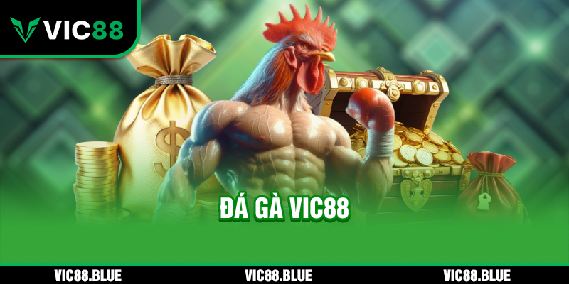 Đá Gà VIC88 - Chiến trường chọi kê đẳng cấp Châu Âu