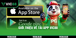 GIới thiệu về Tải App VIC88
