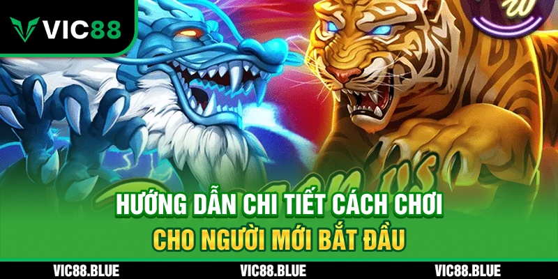 Hướng dẫn chi tiết cho người mới bắt đầu
