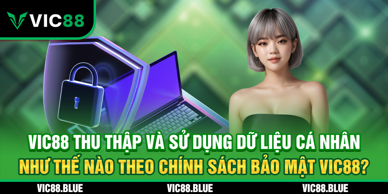 Nhà cái VIC88 thu thập dữ liệu như thế nào?