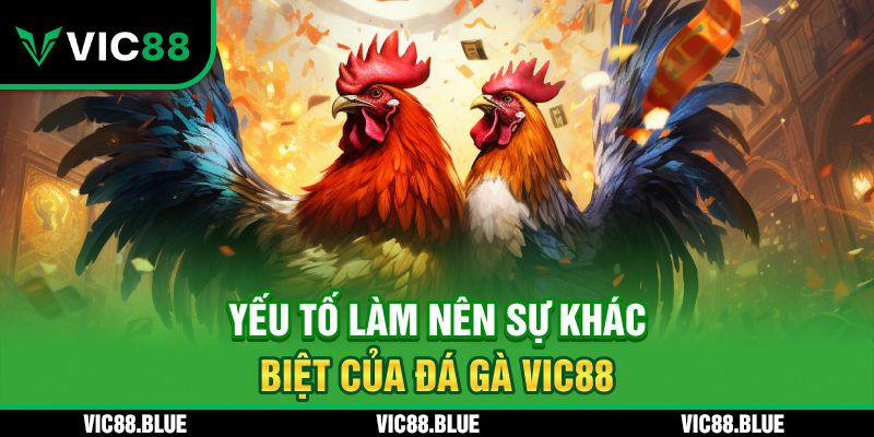 Yếu tố làm nền sự khác biệt của đá gà VIC88